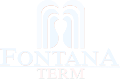 Fontana Term Logo